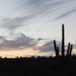 Meet your Posher, Joshua